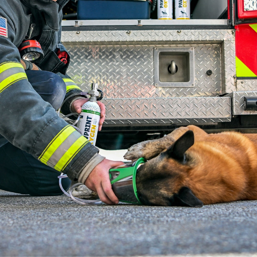 fire fighter administering oxygen to dog laying down on the ground