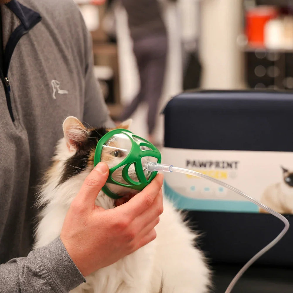 Cat Rescue Oxygen Kit | Oxygen for Cats at Home or In Transport