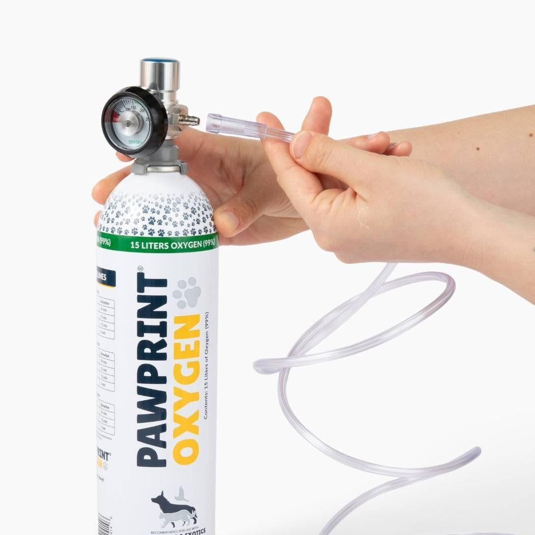 Close up of Oxygen Canister & Regulator included in dog oxygen kit