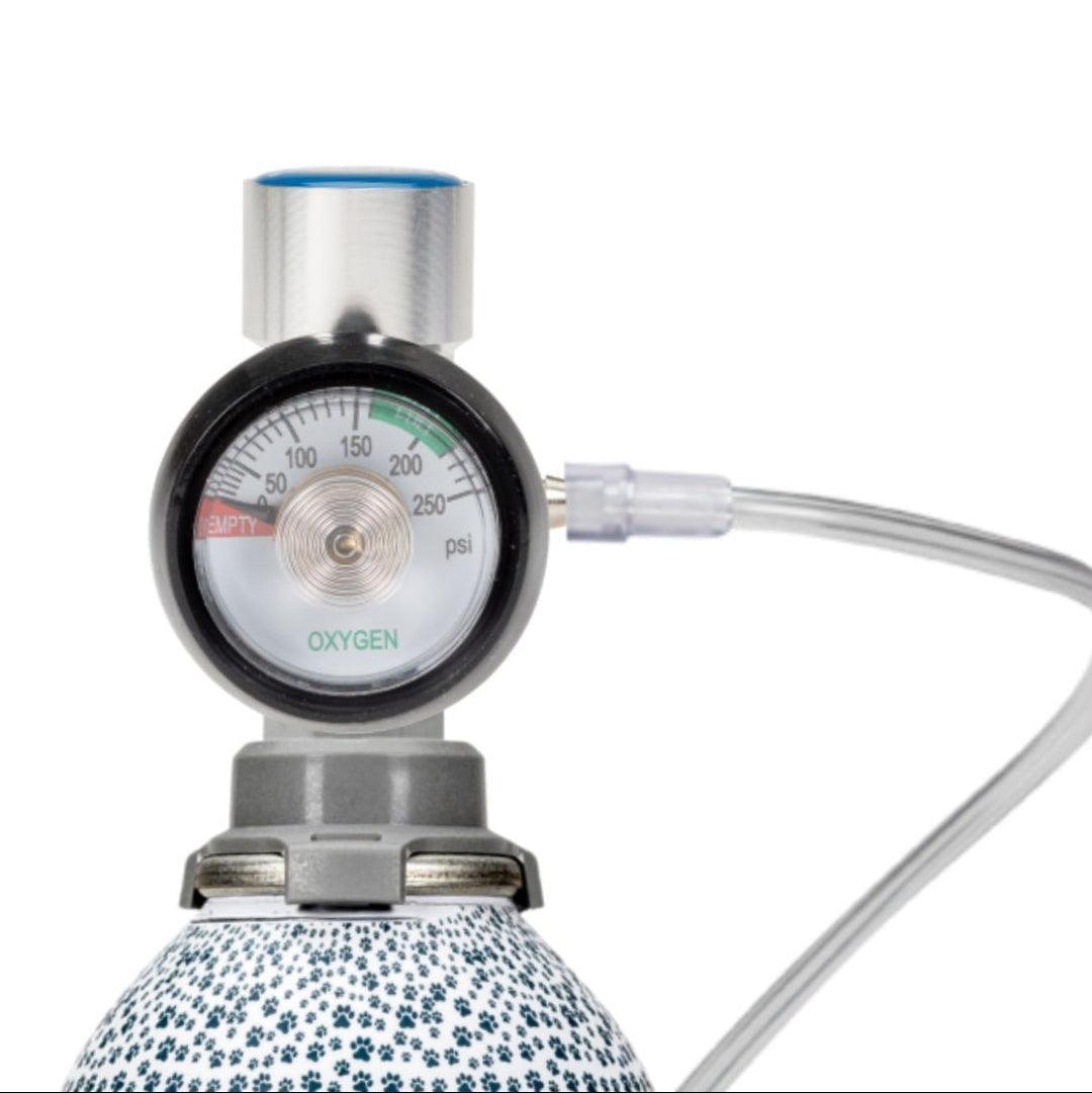 oxygen flow rate regulator