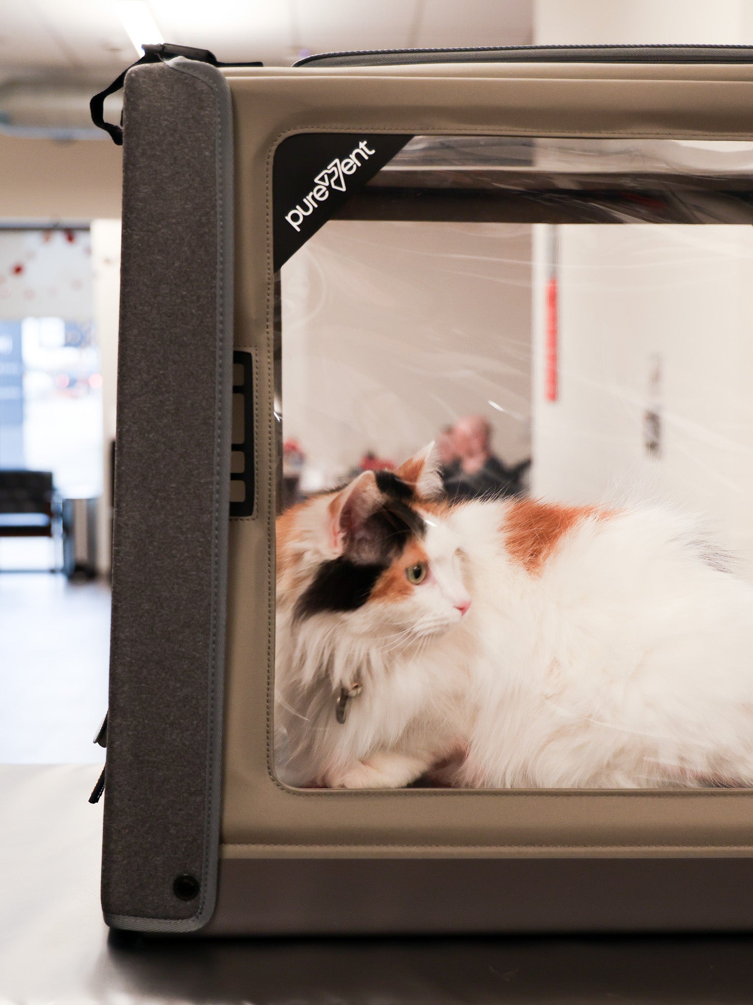 veterinary oxygen chamber for pets