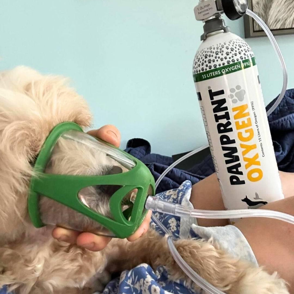 O2 Mask Animal PureVent Pet Oxygen Mask for Dogs, Cats, Animals | Pawprint