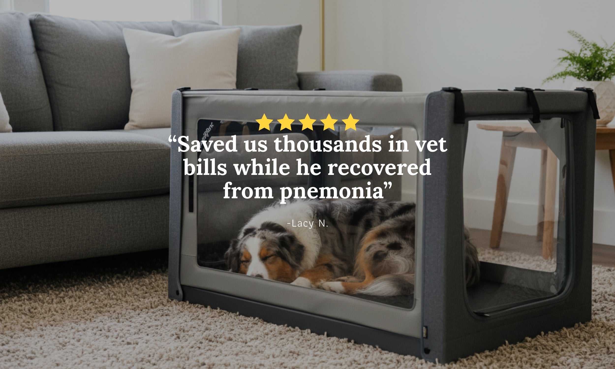 Large Purevent pet oxygen chamber reviews