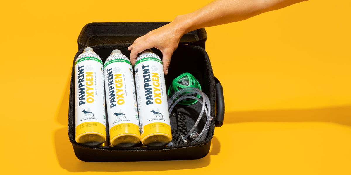 EVA Travel Case for Pet Oxygen Kits | Protective Pet Canisters