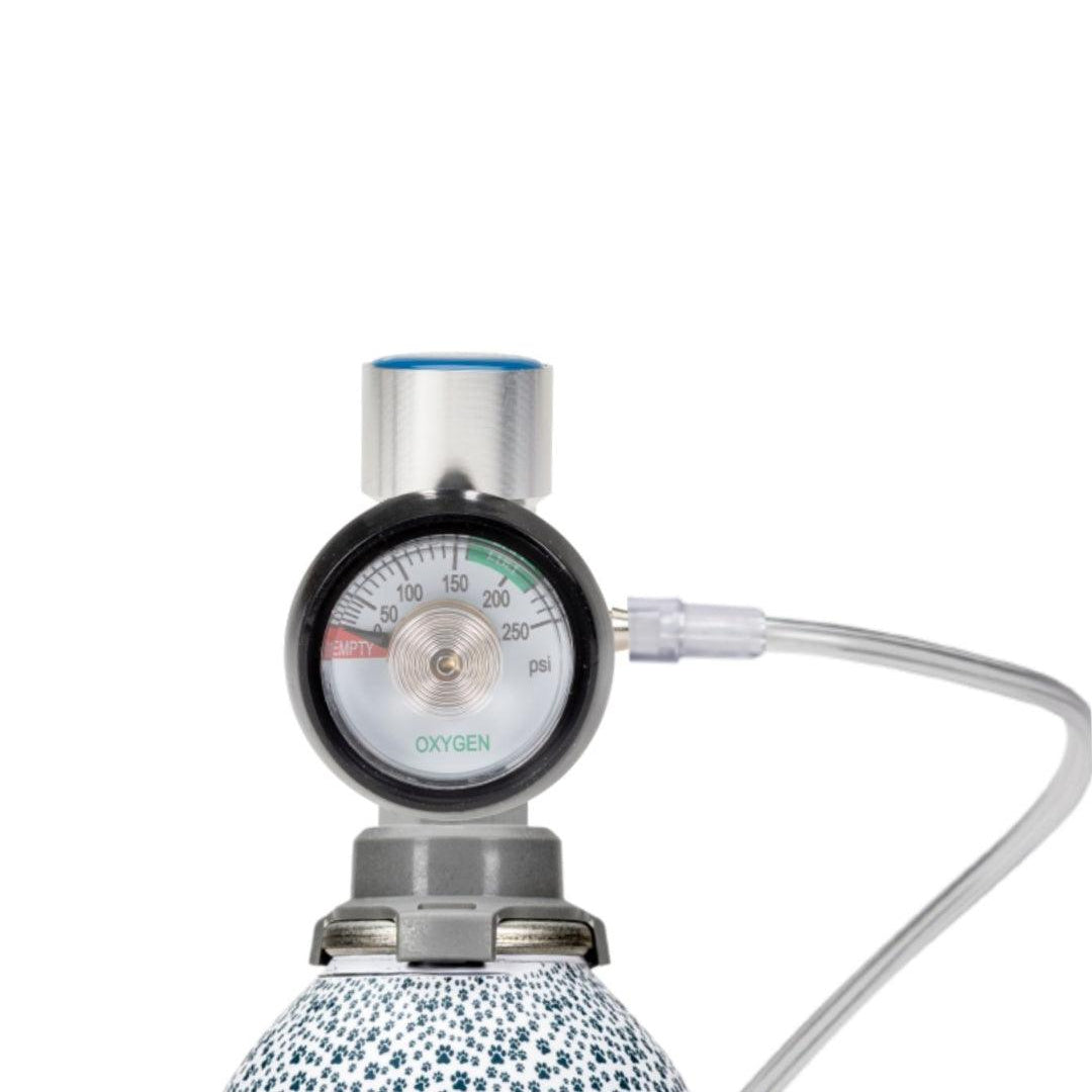 pet oxygen tubing attached to regular and canister