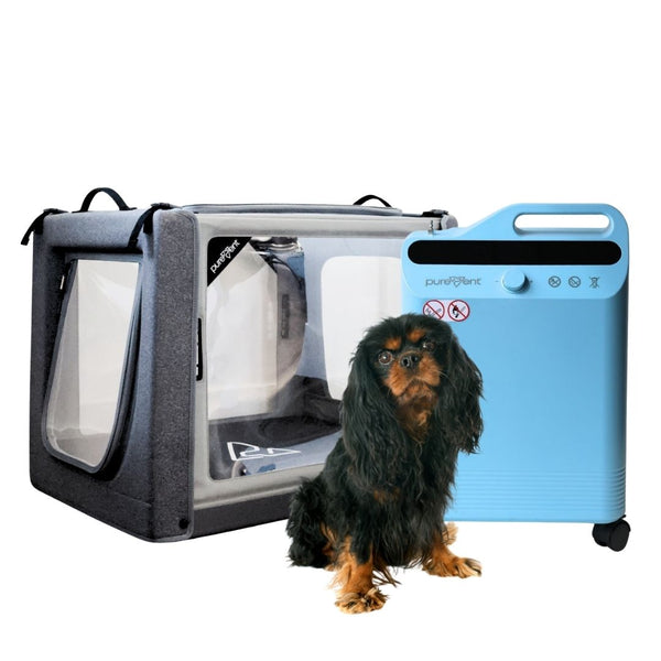 Extended Oxygen Therapy Bundle for Small Pets (Up to 30 lbs) – Continuous Oxygen Support