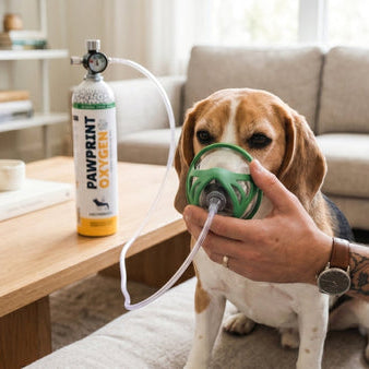 Dog wearing an oxygen mask with a person's hand holding it, next to a Pawprint Oxygen canister.