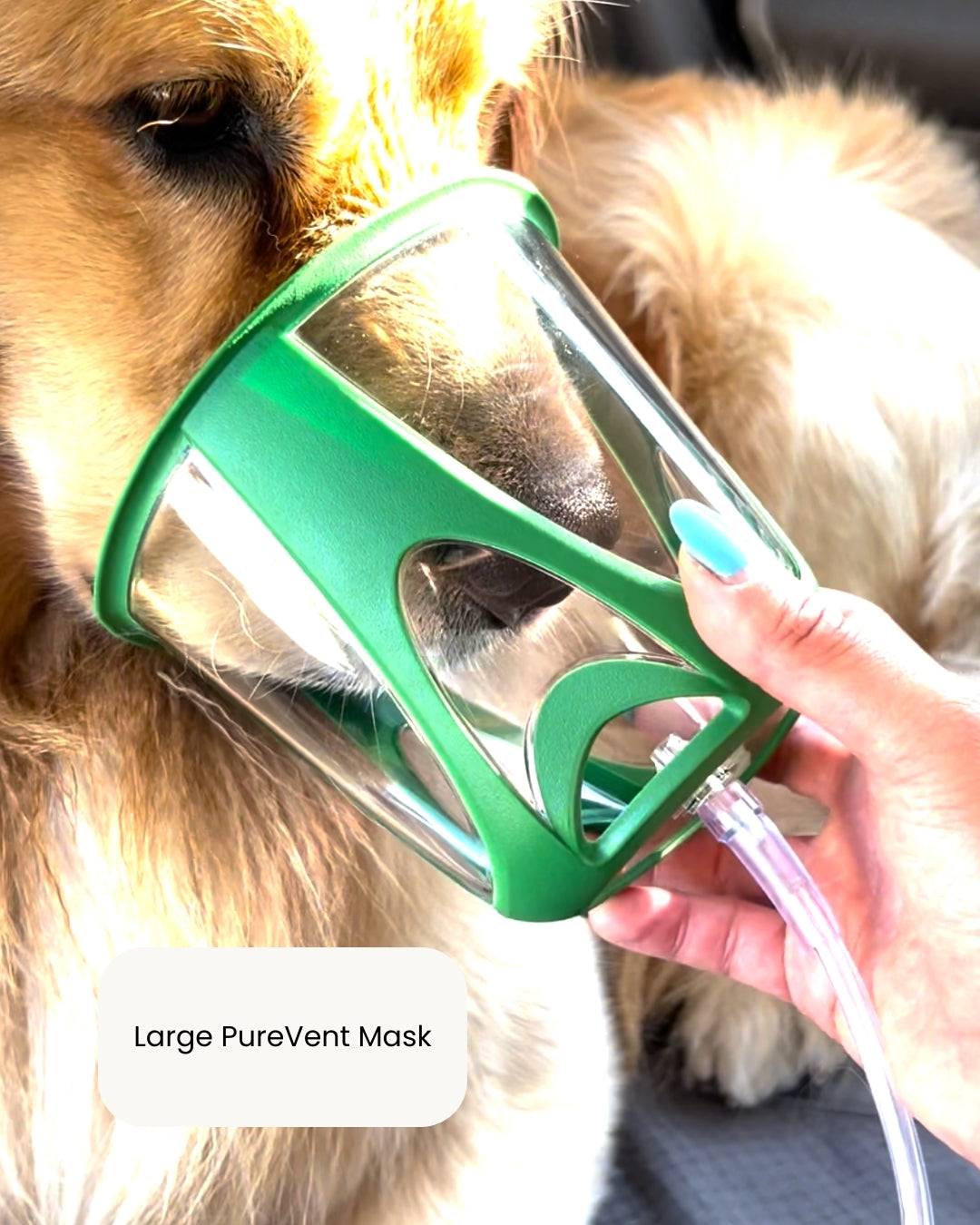 Large PureVent Pet Oxygen Mask on dog