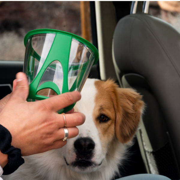 purevent pet oxygen mask for dogs and cats