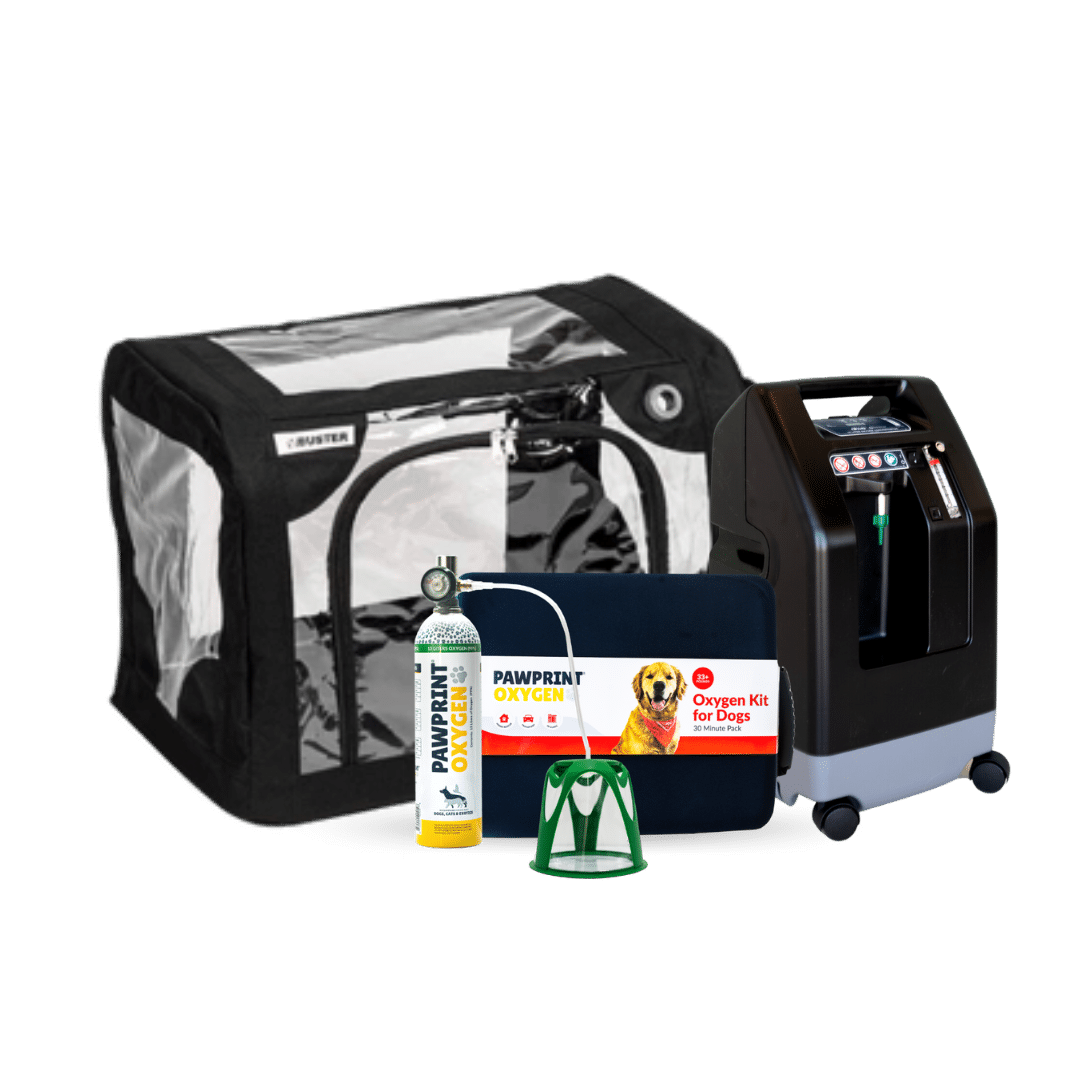Oxygen therapy for large animals and dogs Oxygen Concentrator 10L